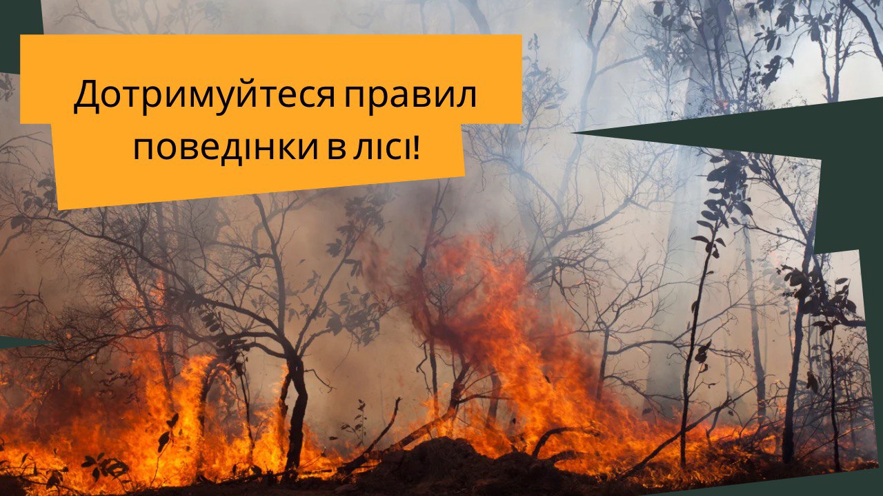 Лісові пожежі. Краще попередити, щоб зберегти природу й уникнути збитків