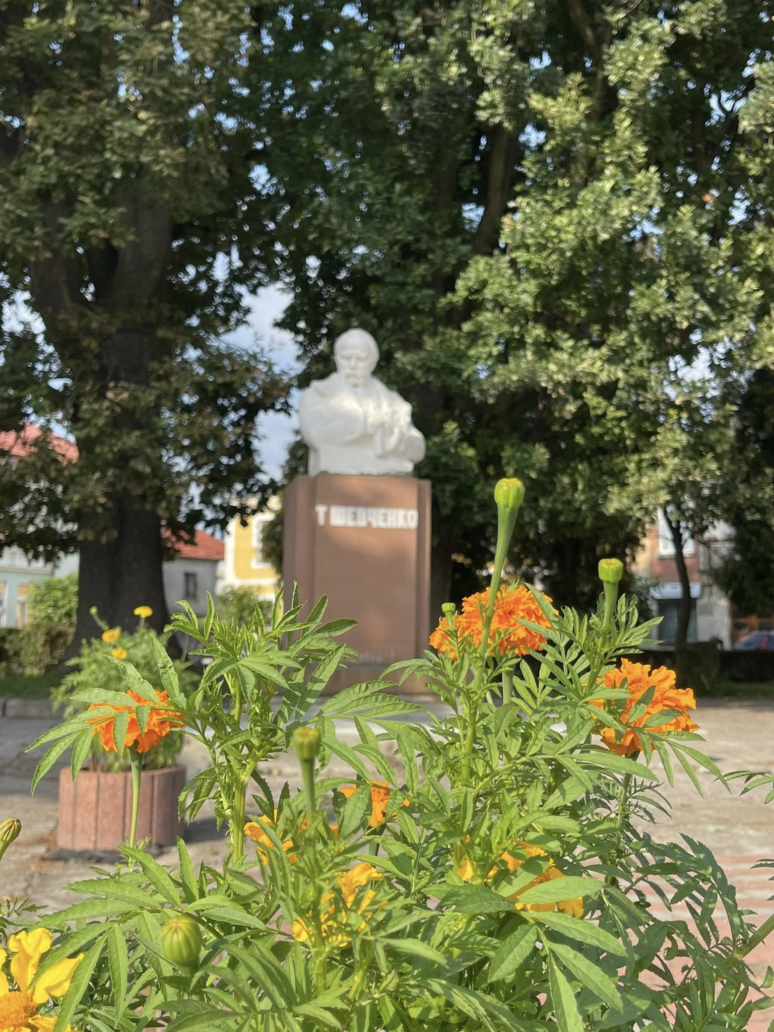 Тарас Шевченко – на найдостойнішому місці у Городку