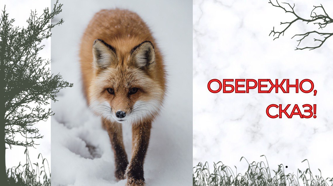 ОБЕРЕЖНО, СКАЗ!