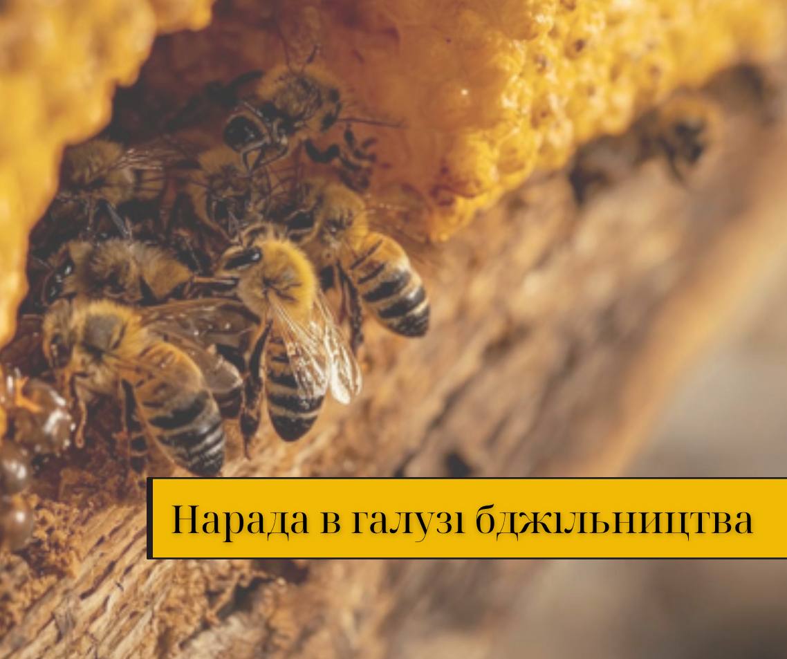 До уваги пасічників та аграріїв 26 лютого відбудеться нарада в галузі бджільництва