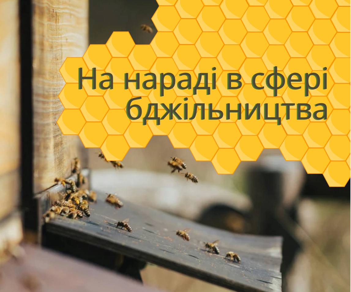 Відбулася нарада щодо актуальних питань в галузі бджільництва