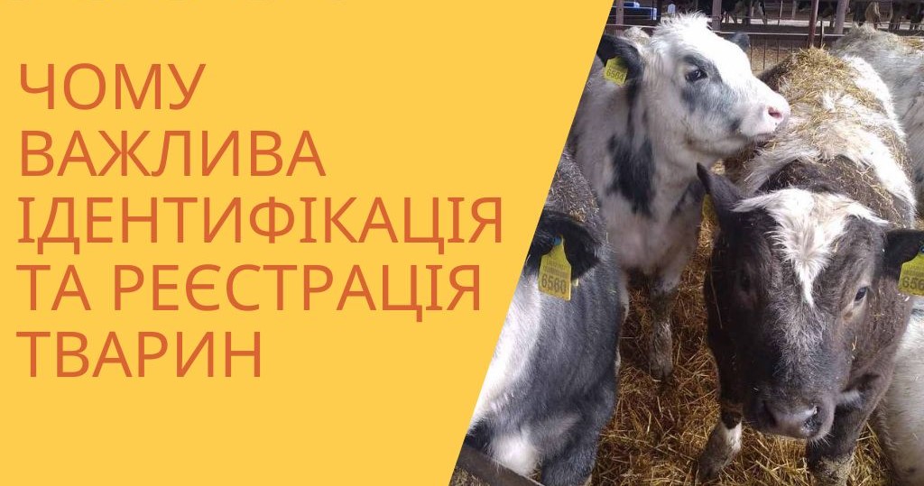 Львівська філія Державного підприємства «Агентство з ідентифікації і реєстрації тварин» інформує – Про ідентифікацію та реєстрацію сільськогосподарських тварин