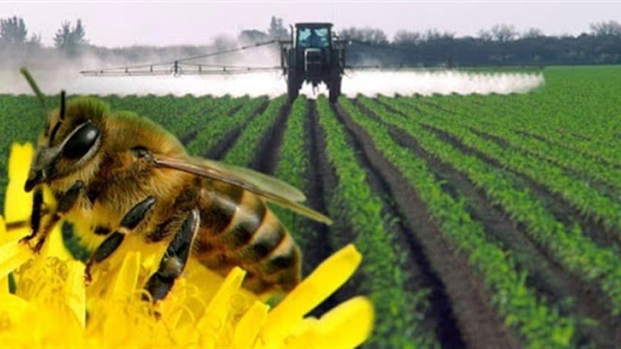 Увага! Проводитиметься обприскування полів